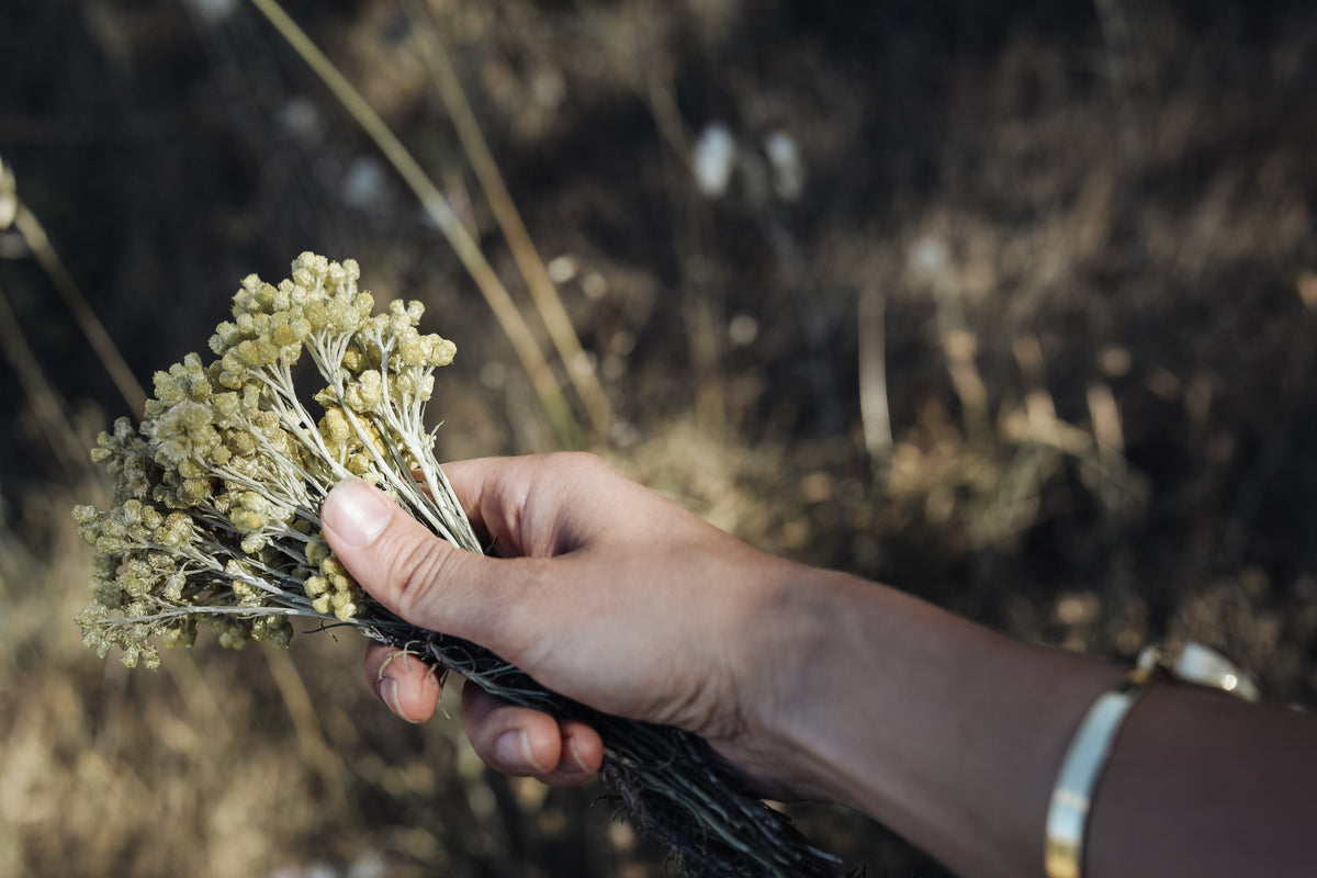 Hand mit Immortelle-Strauß, Armreif