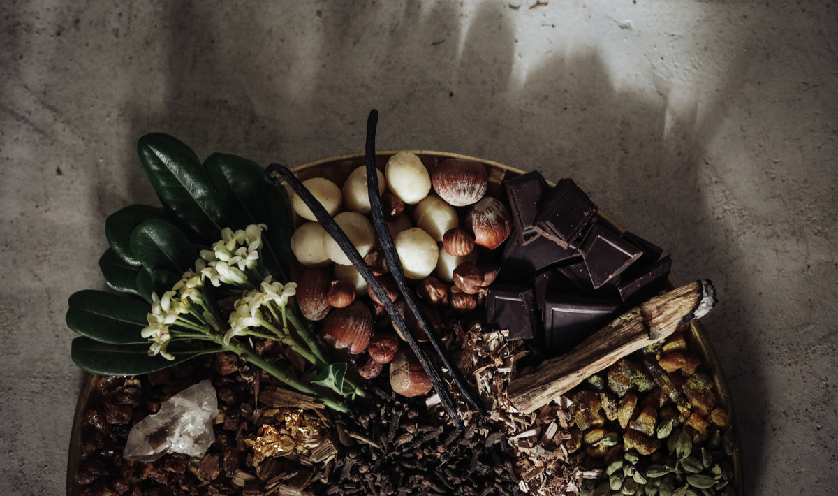 flatlay of vanilla, cacao and nuts