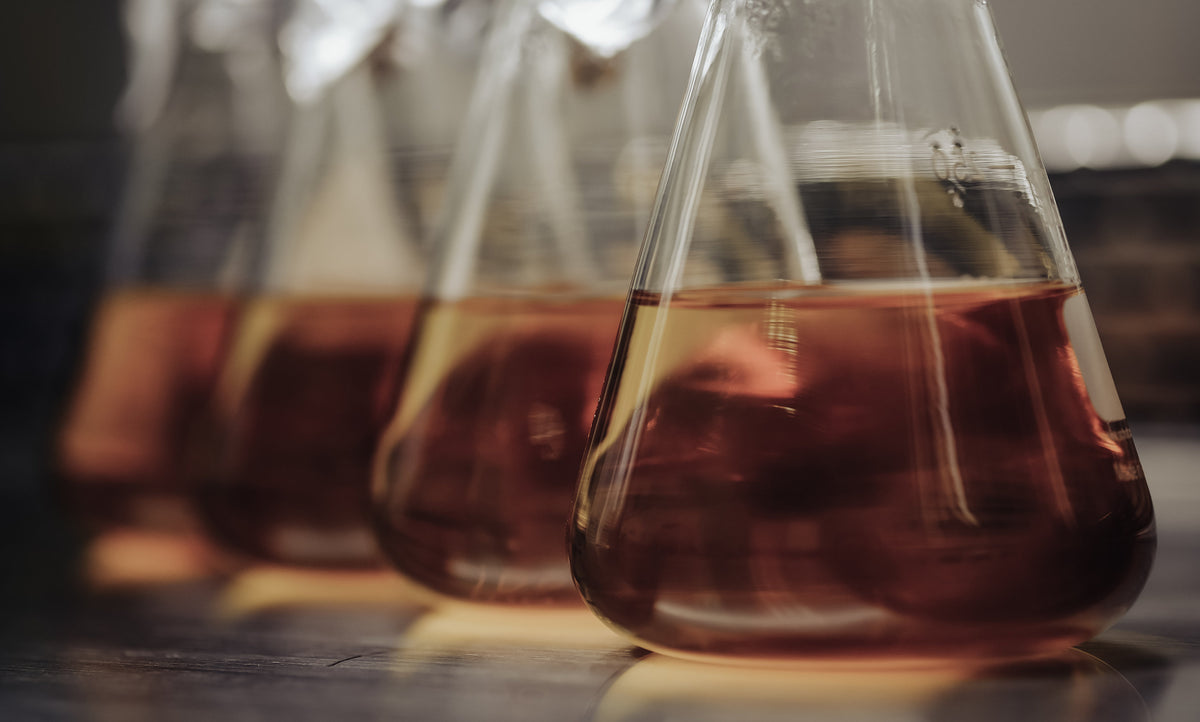 Glaskolben mit rotem Pflanzenauszug im Gegenlicht